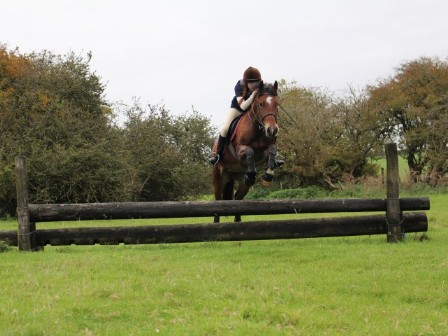 Riding in the New Forest 